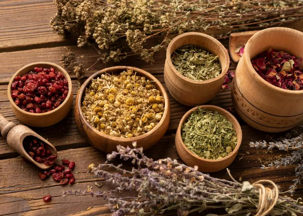 Différentes plantes bien-être pour tisane